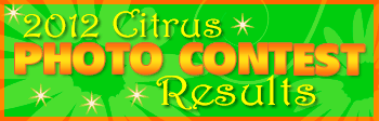 Citrus Photo Contest Results